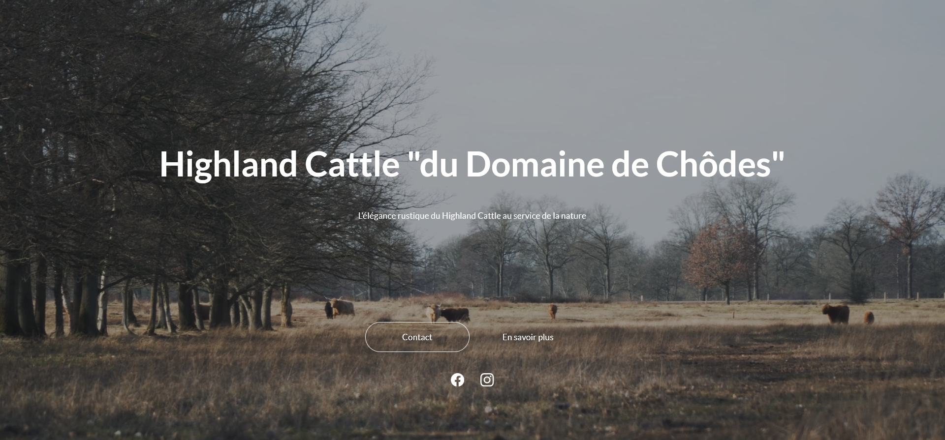 Site Highland Cattle du Domaine de Chodes