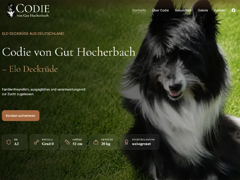 Elo Deckrüde Codie