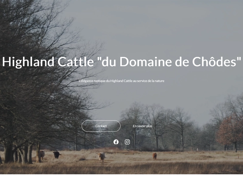 Site Highland Cattle du Domaine de Chodes
